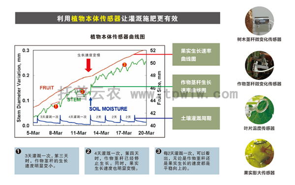 配置植物本體傳感器